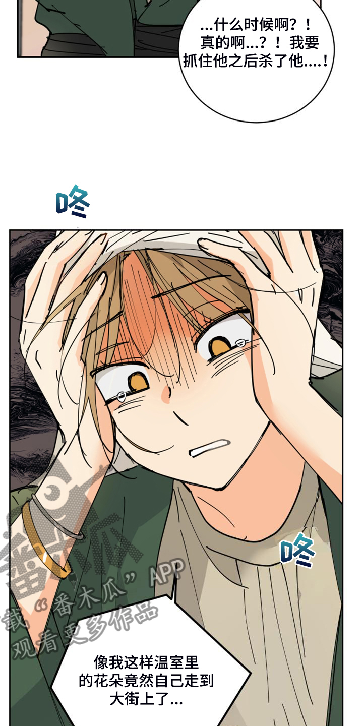 爱的赌注韩剧漫画,第17章：流落街头1图