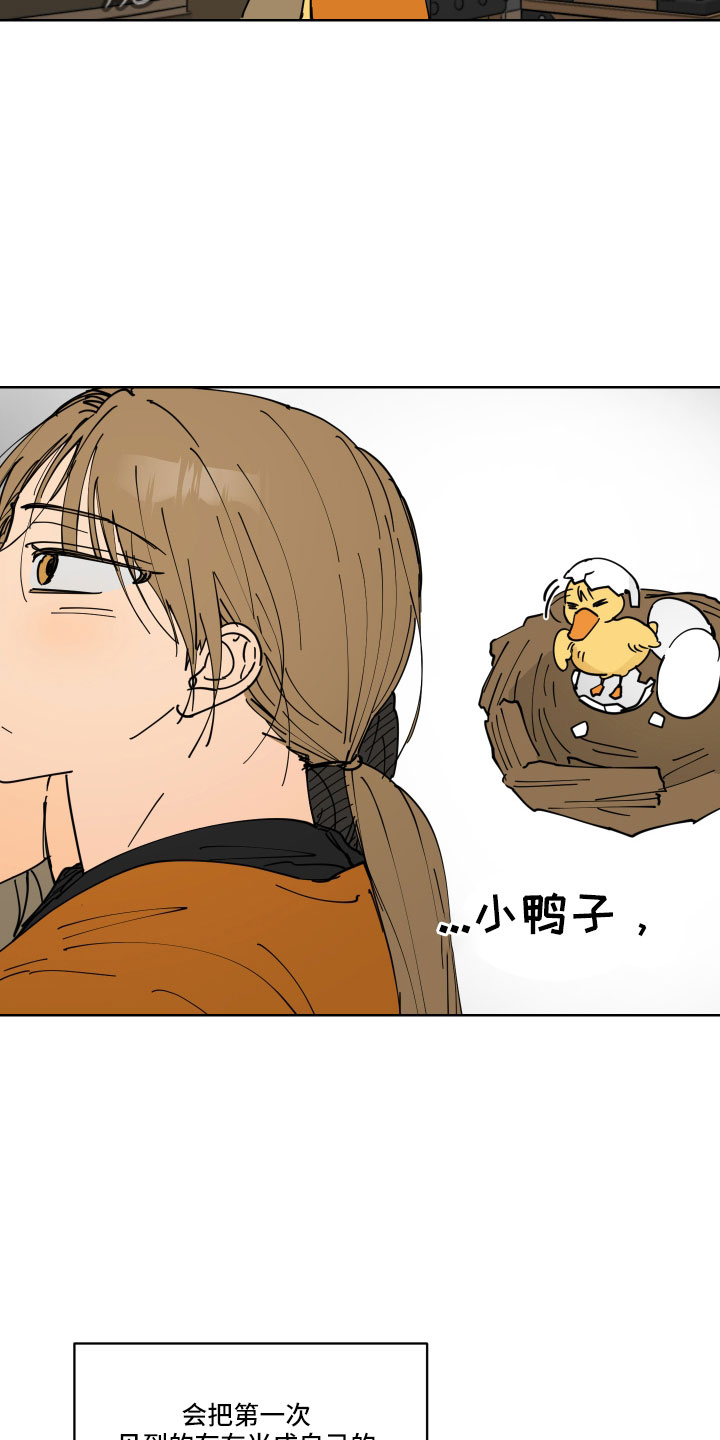 爱的力量漫画,第45章：鸭子宝宝5图