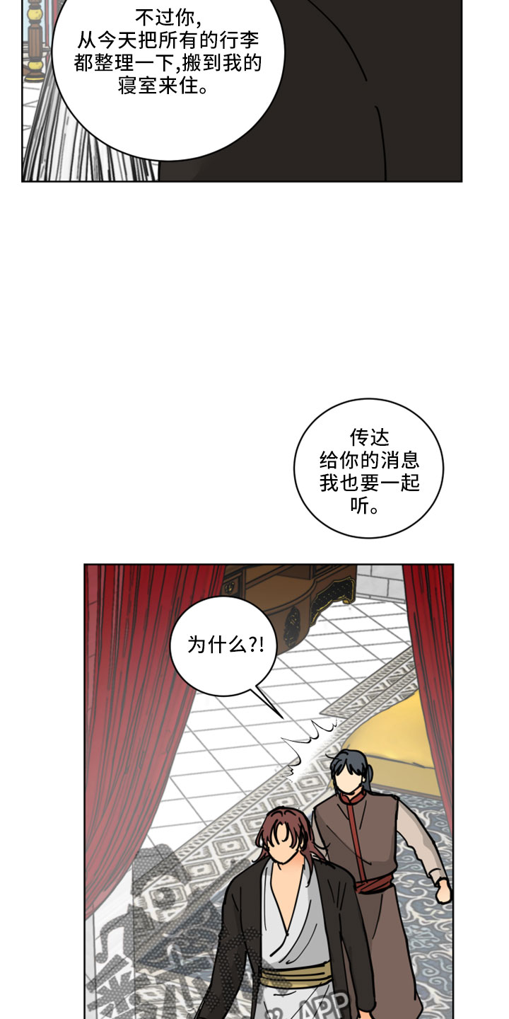 爱的二八定律电视剧免费观看漫画,第38章：书信4图