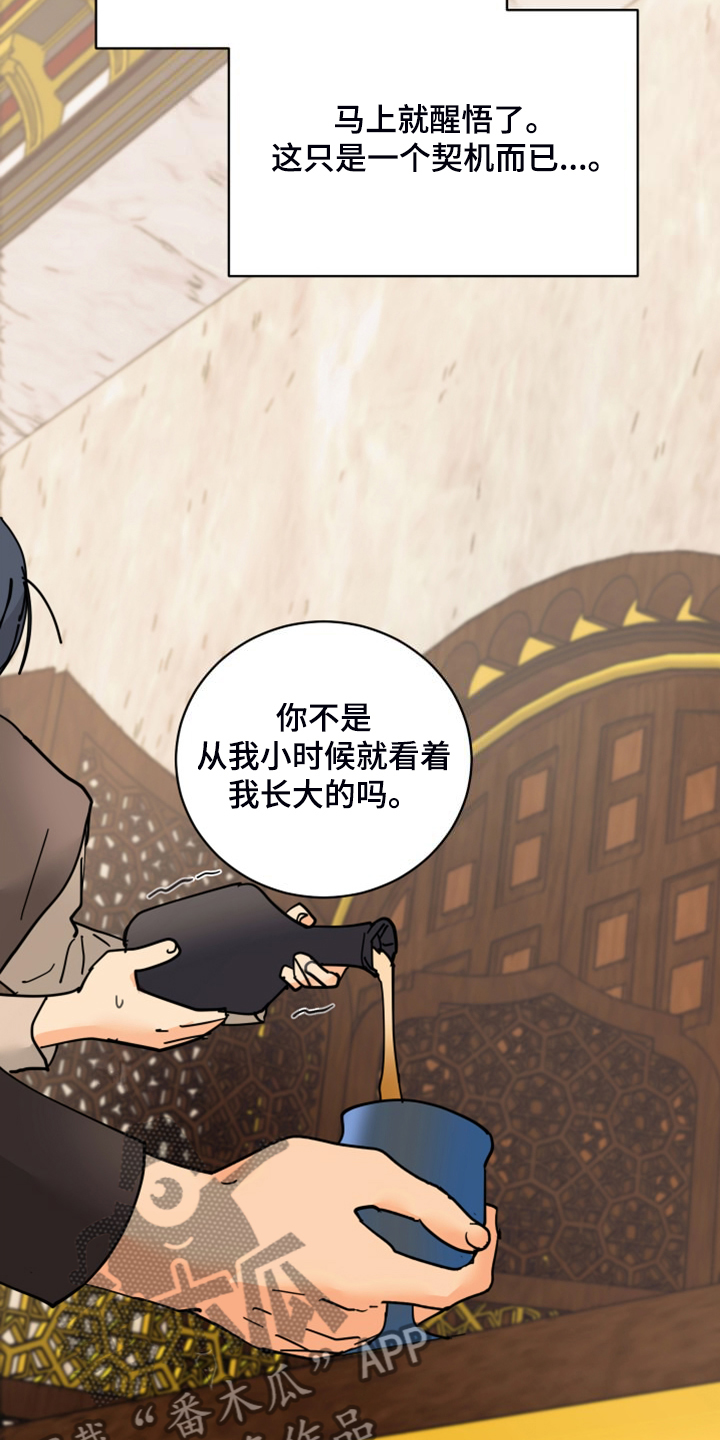 爱的保镖电视剧漫画,第23章：皇子的竞争1图