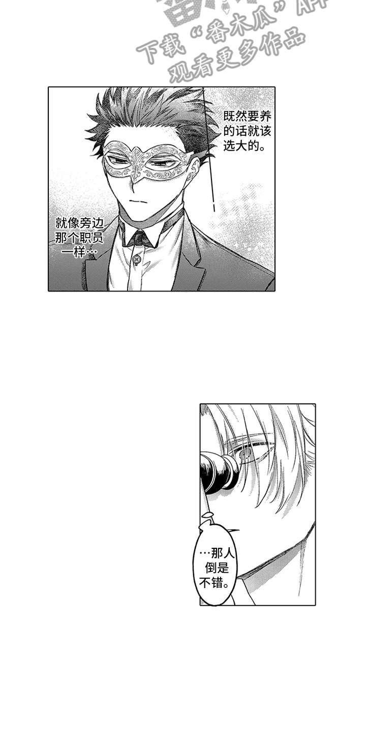 助手的理想主人漫画,第11章：选中3图