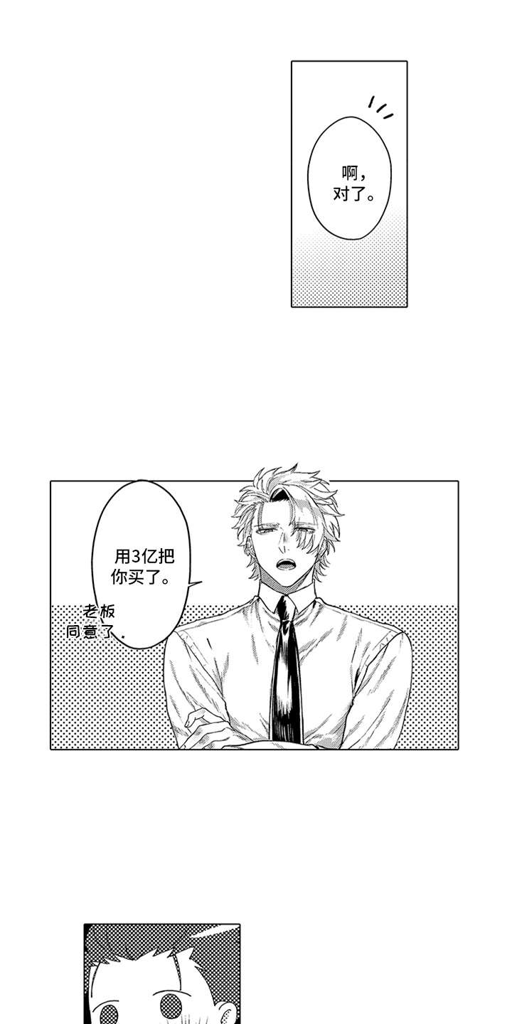 助手的理想主人漫画,第4章：买下了5图