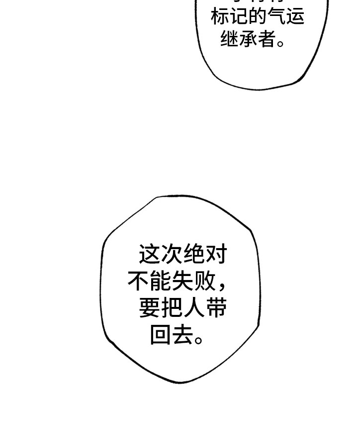 星之继承者完整解析漫画,第27章：朋友祝福4图