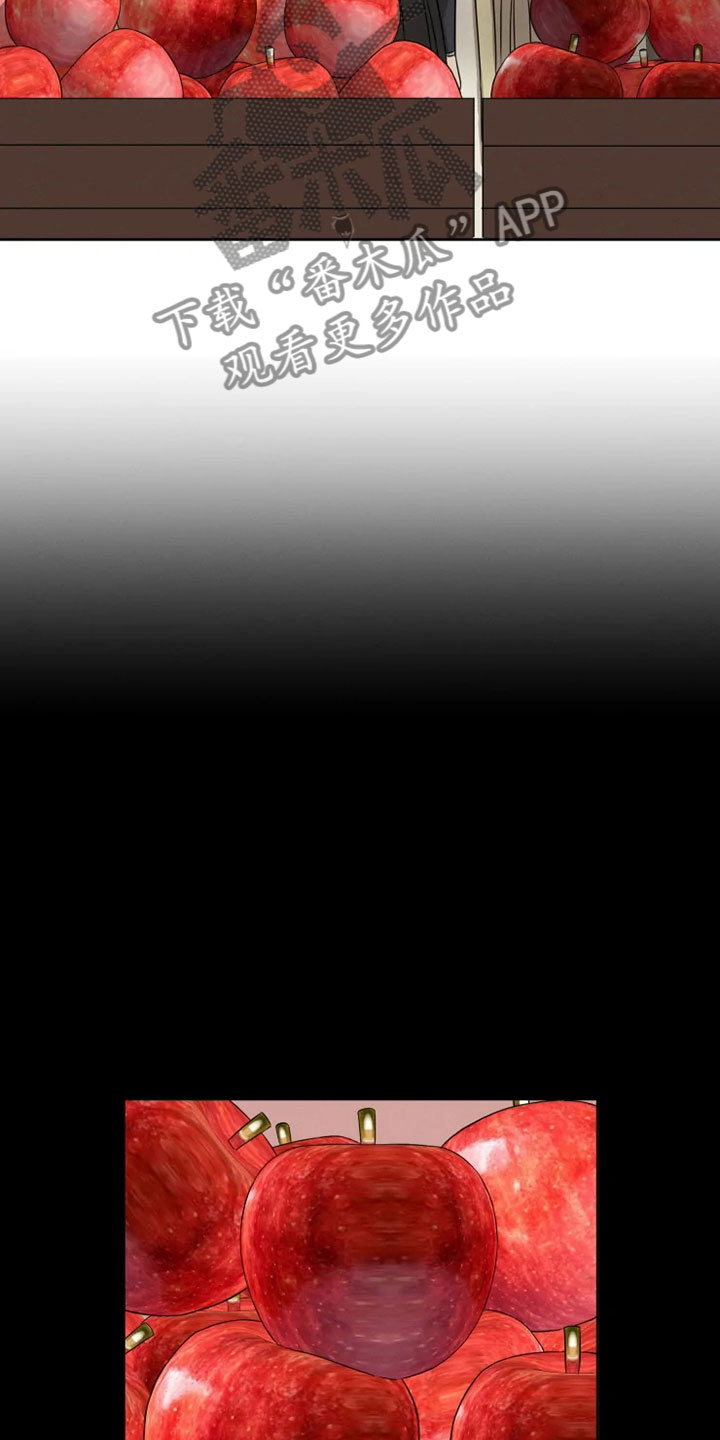 星之继承者漫画,第18章：书铺寻觅4图