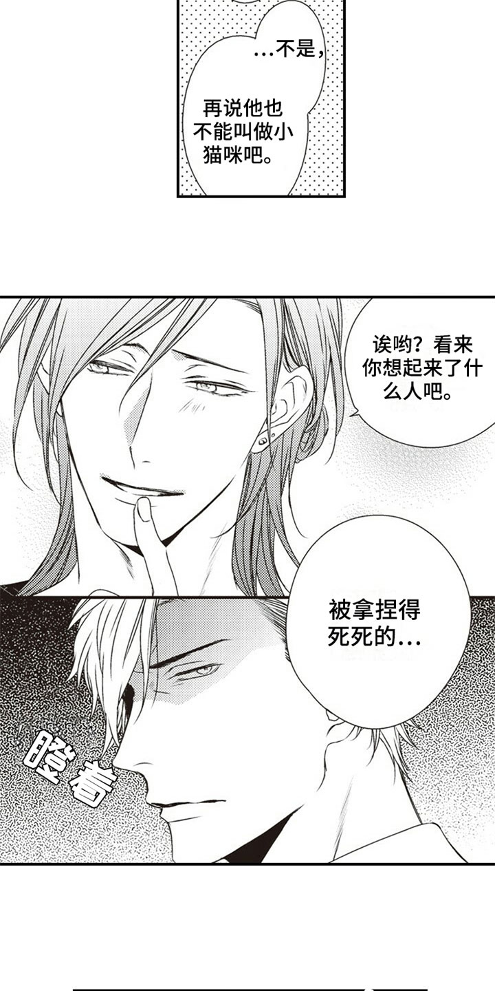 爱的零距离漫画,第28章：决定3图