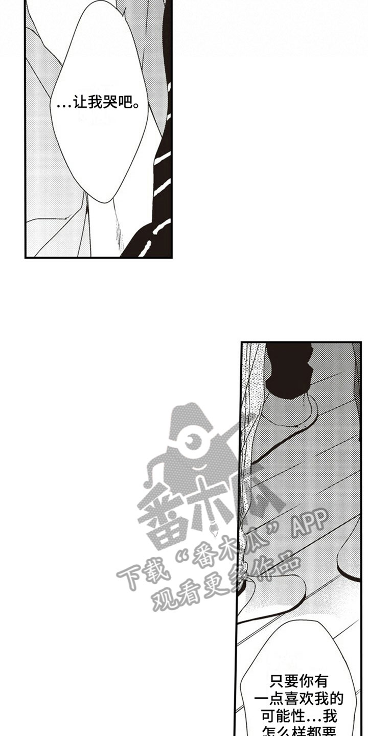 爱的零距离漫画,第31章：笨蛋2图