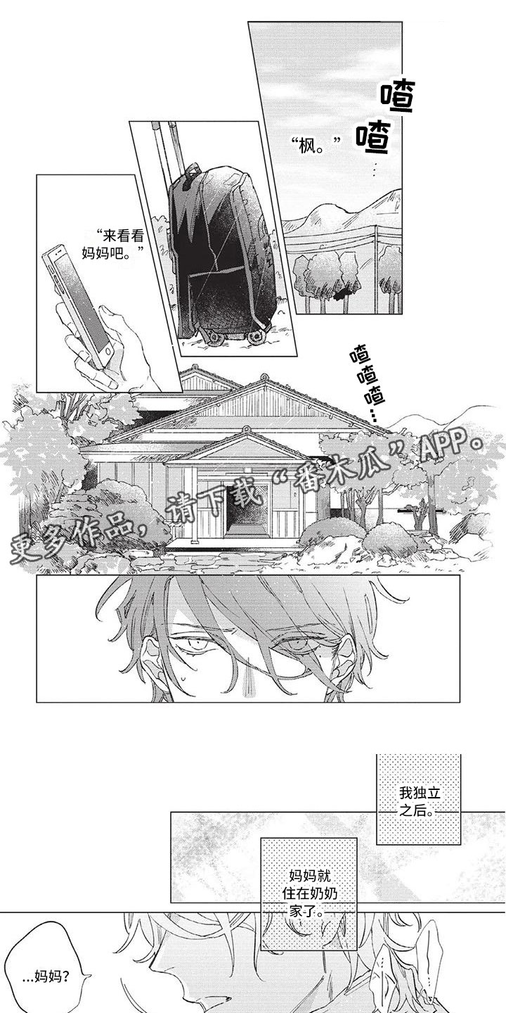 别跑我的英雄漫画,第10章：妈妈1图