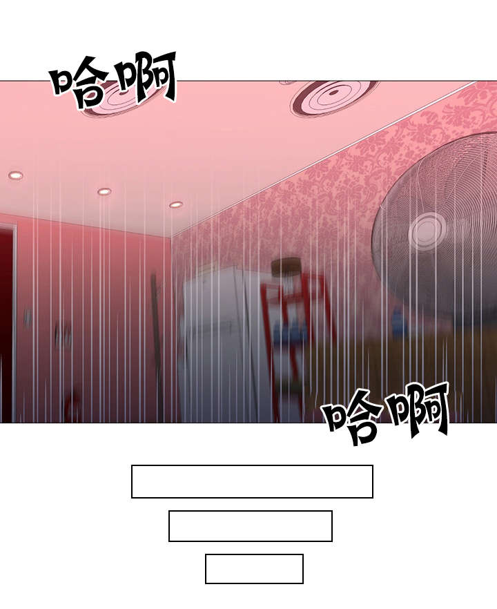 冰岛小青柑茶怎么喝才正确漫画,第31章：车祸5图