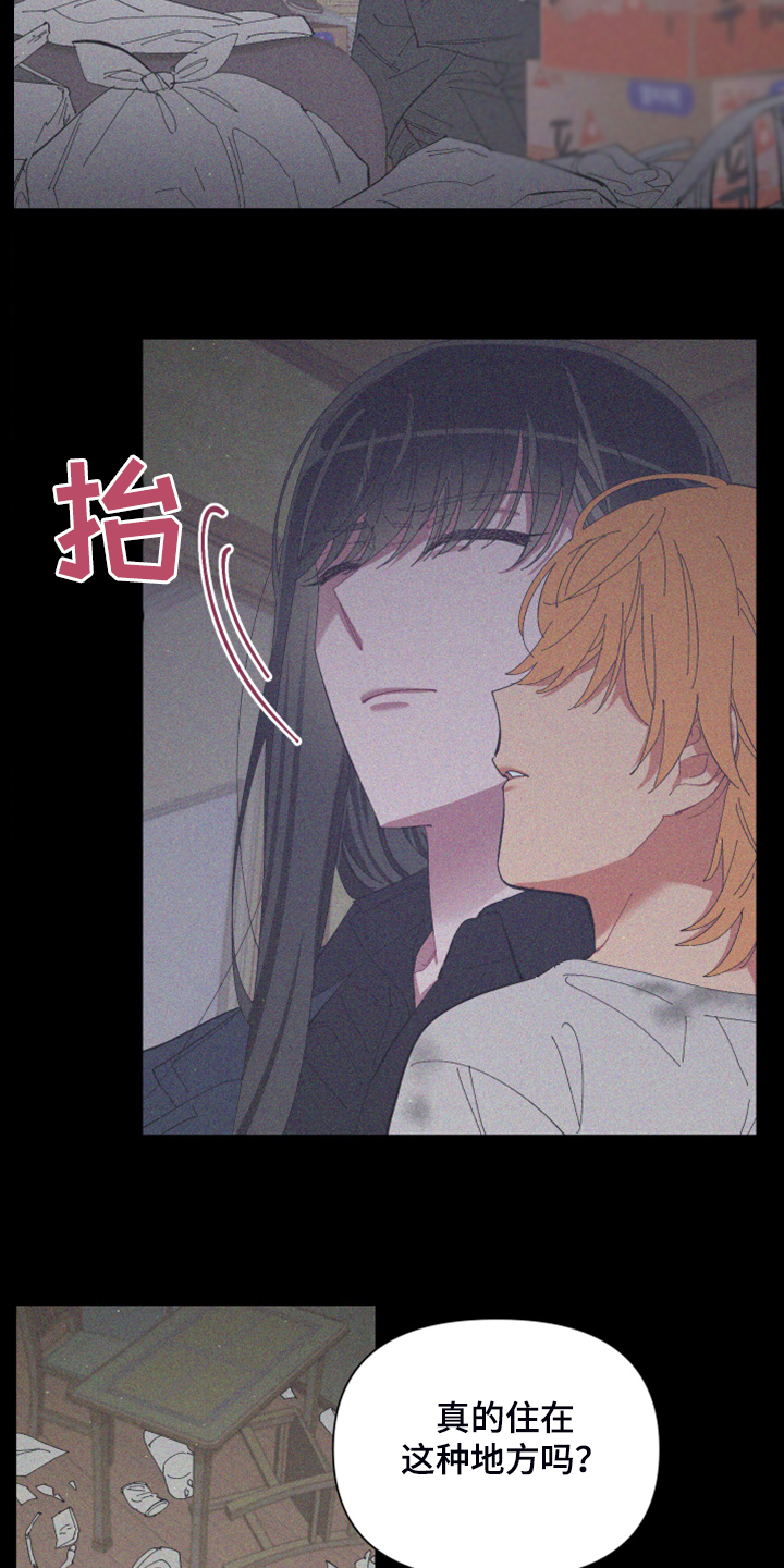 爱在来世漫画,第83章：【第二季】跟她回家2图