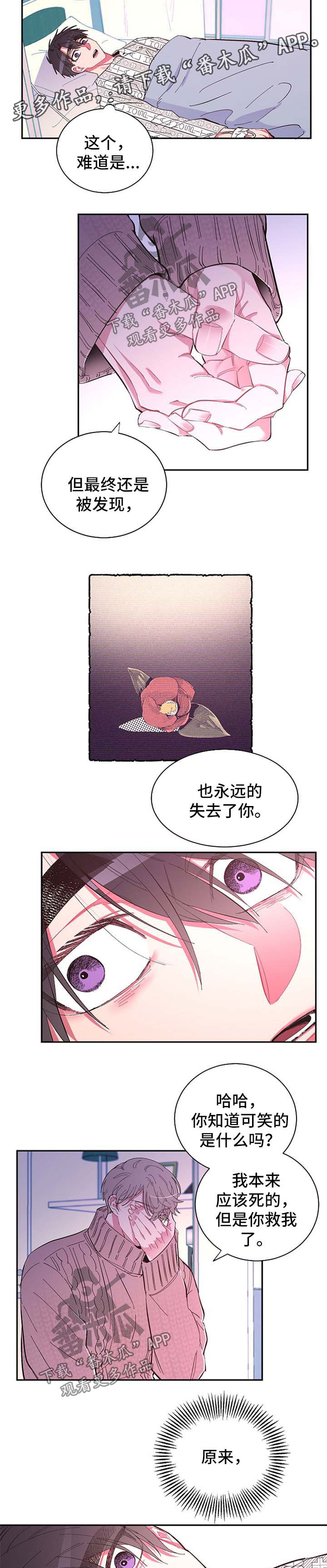 爱在来世漫画,第48章：不想再失去你3图