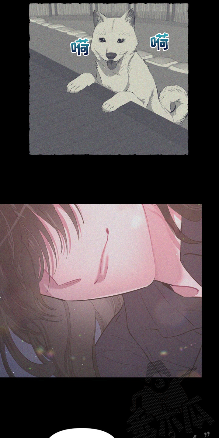 爱在来世漫画,第85章：【第二季】没有这样过1图