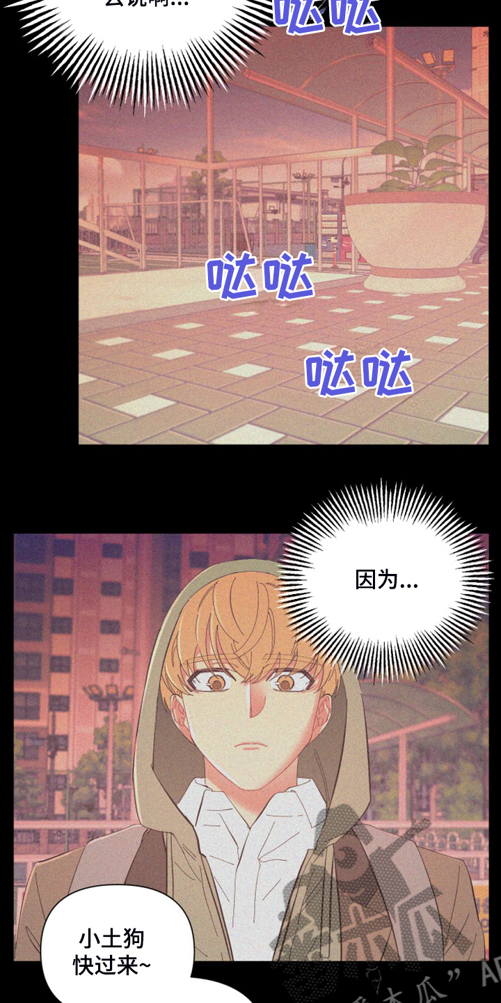 爱在来生解读漫画,第87章：【第二季】校园传言4图