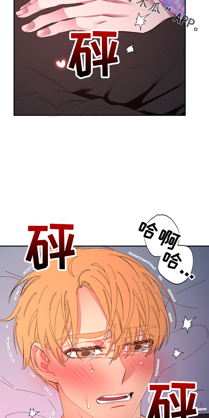 爱在来时的路上漫画,第103章：【第二季】非常喜欢1图