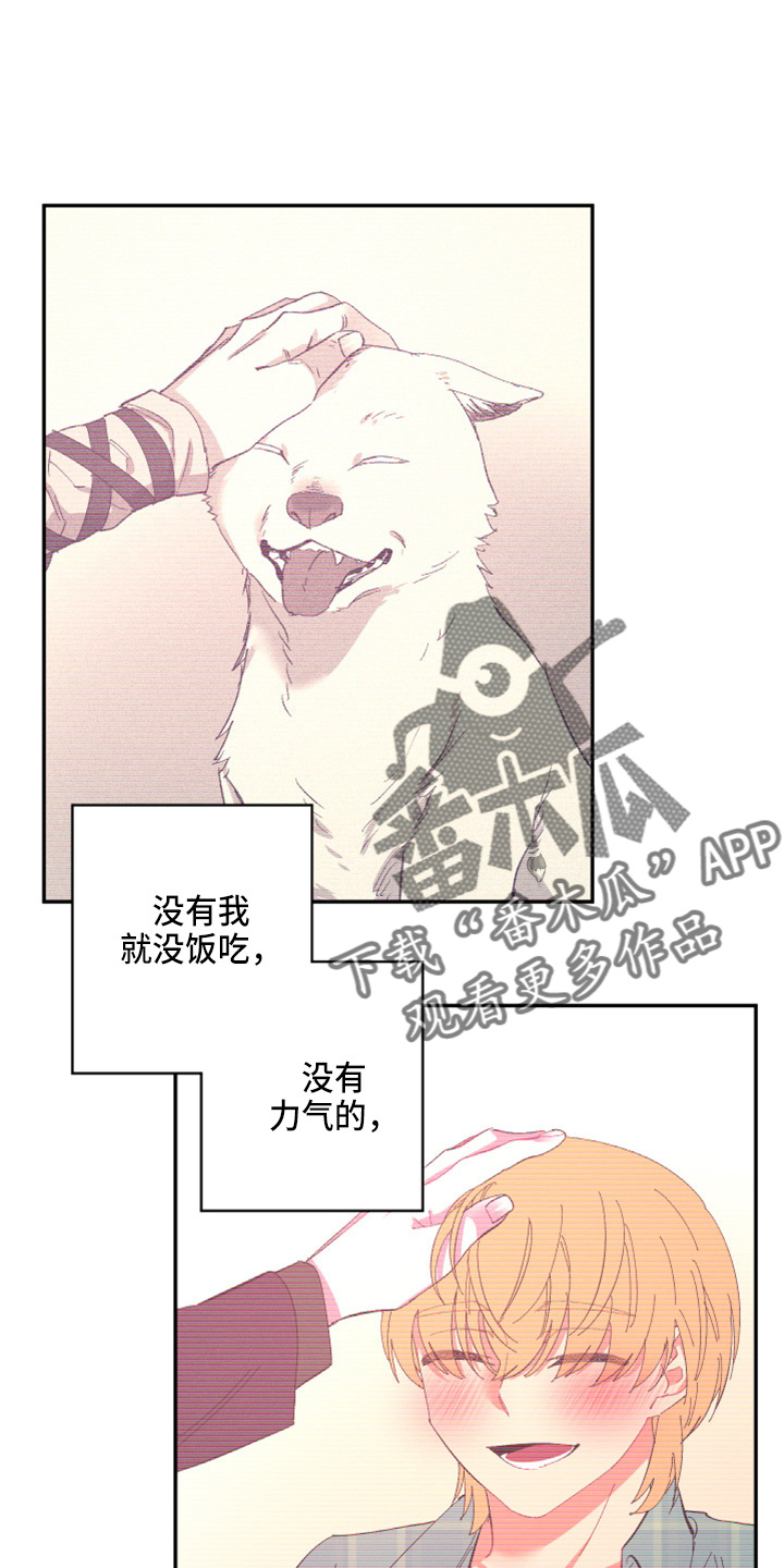 爱在来世漫画,第95章：【第二季】当然不会4图