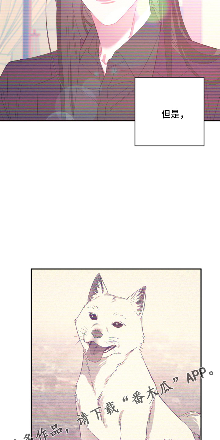 爱在来世漫画,第95章：【第二季】当然不会2图