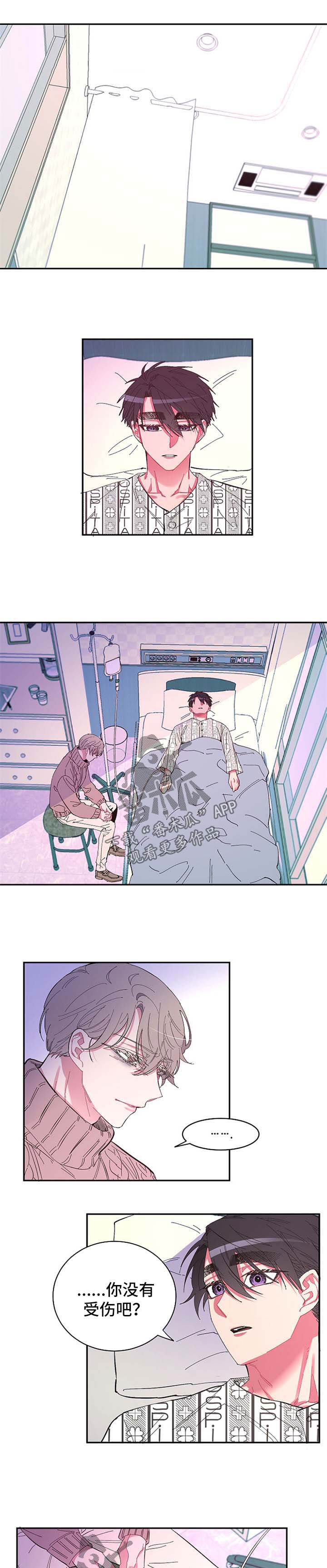 爱在来世漫画,第48章：不想再失去你1图