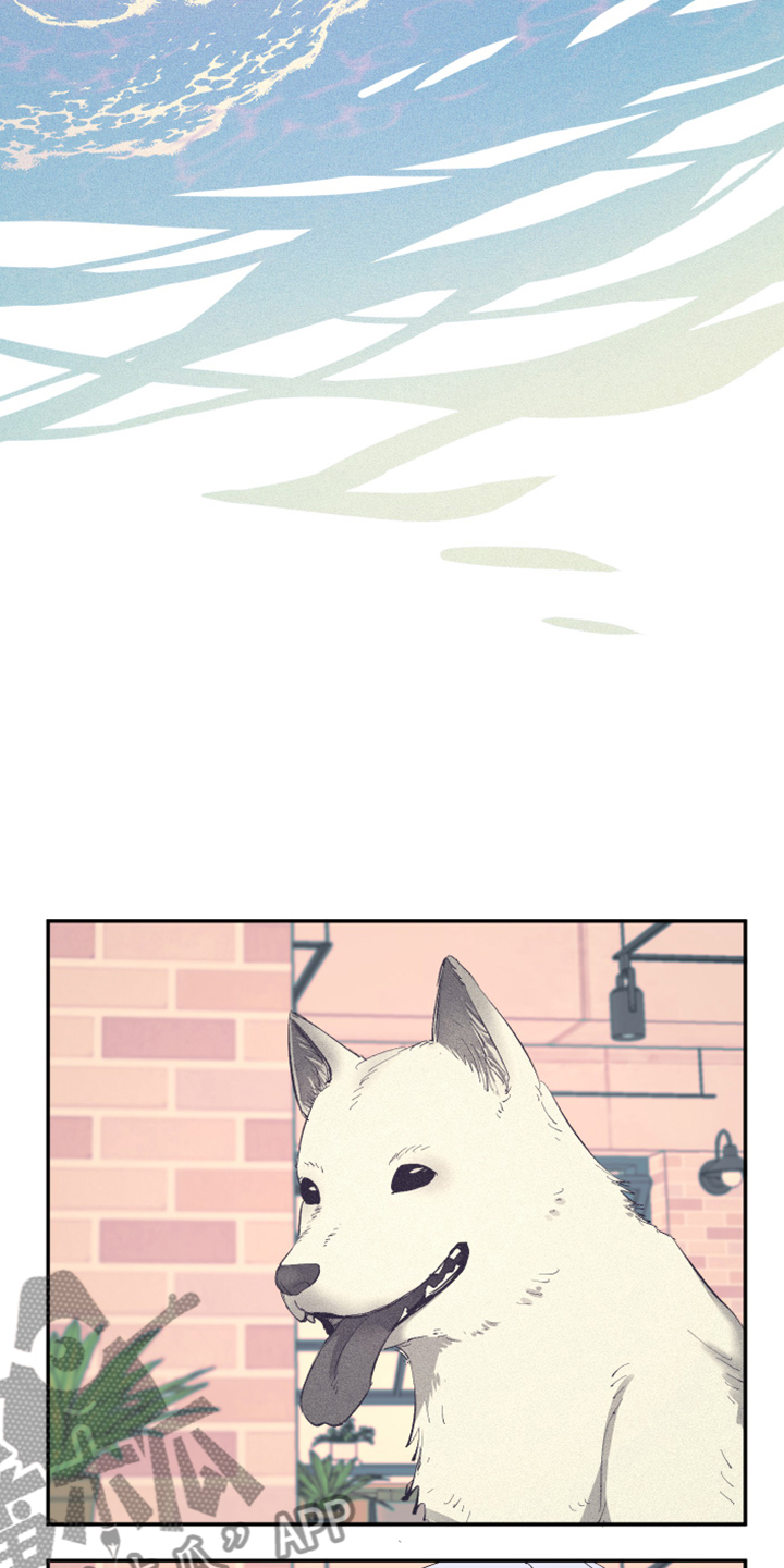 爱在来世漫画,第80章：【第二季】折磨结束3图