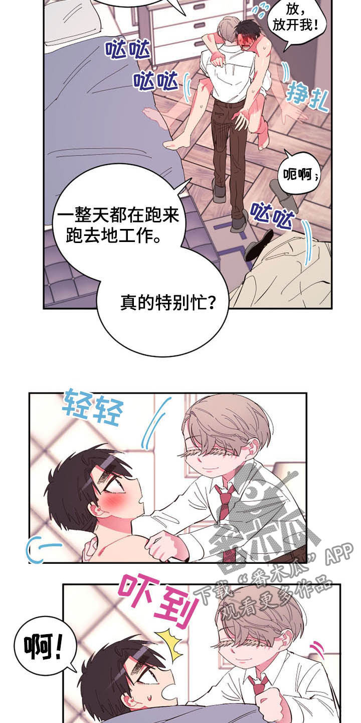 爱在来时全集漫画,第68章：【第二季】计划1图