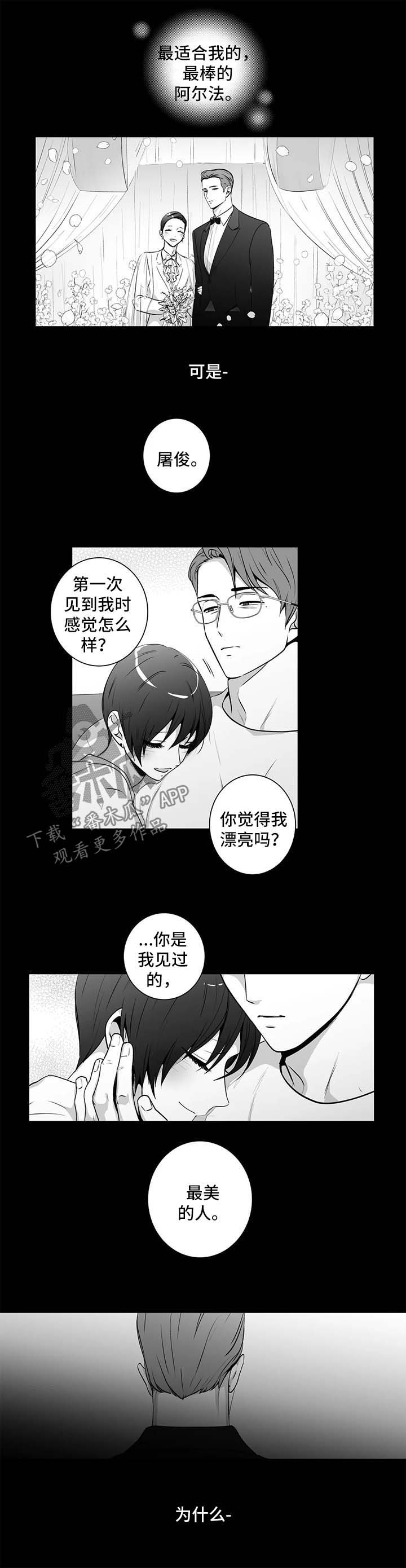 不枉此生漫画,第153章：【第二季】短信3图