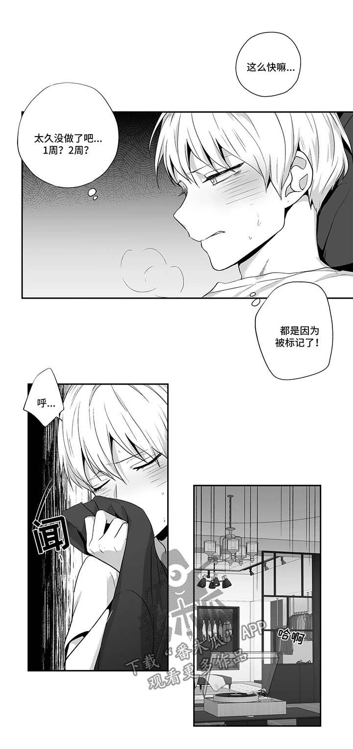 不枉此生漫画,第123章：【第二季】惊人发现1图