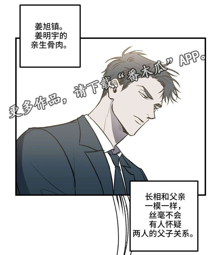 第17章：冉冉升起的星星1