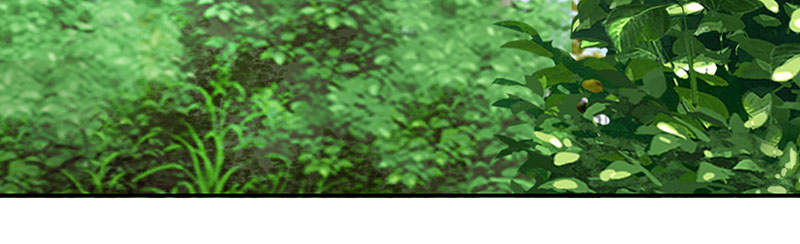 魔盗白骨衣漫画,第54章：七夕蝉生 上4图