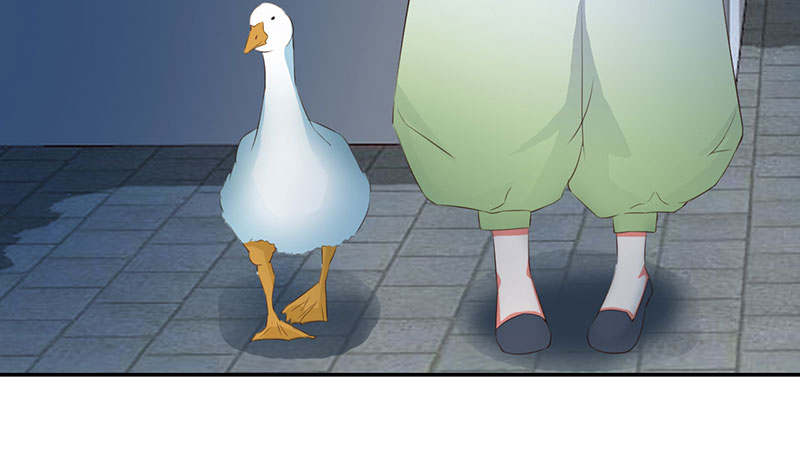 魔道白金徽章选什么漫画,第60章：鹅宝 上5图