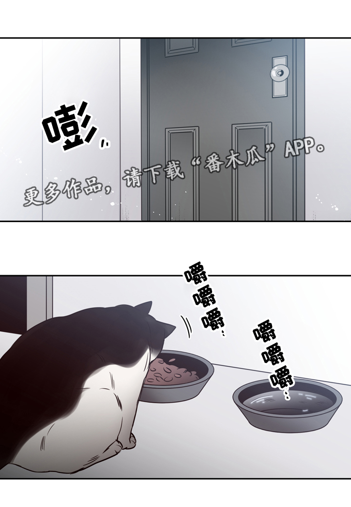 交际的最小单位是漫画,第41章：逃离5图