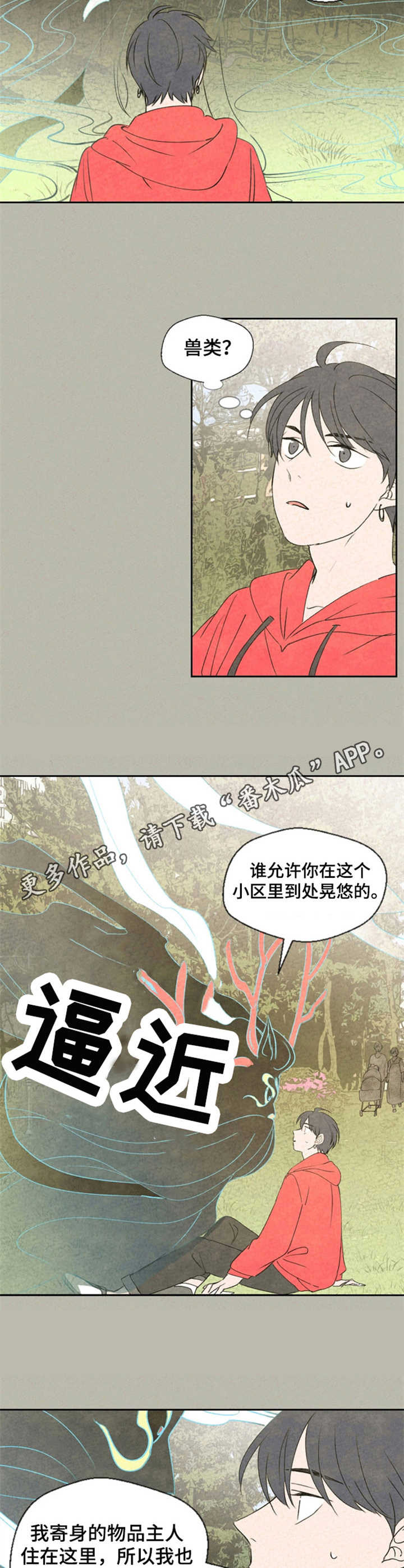 伴生灵物漫画,第30章：不完整3图