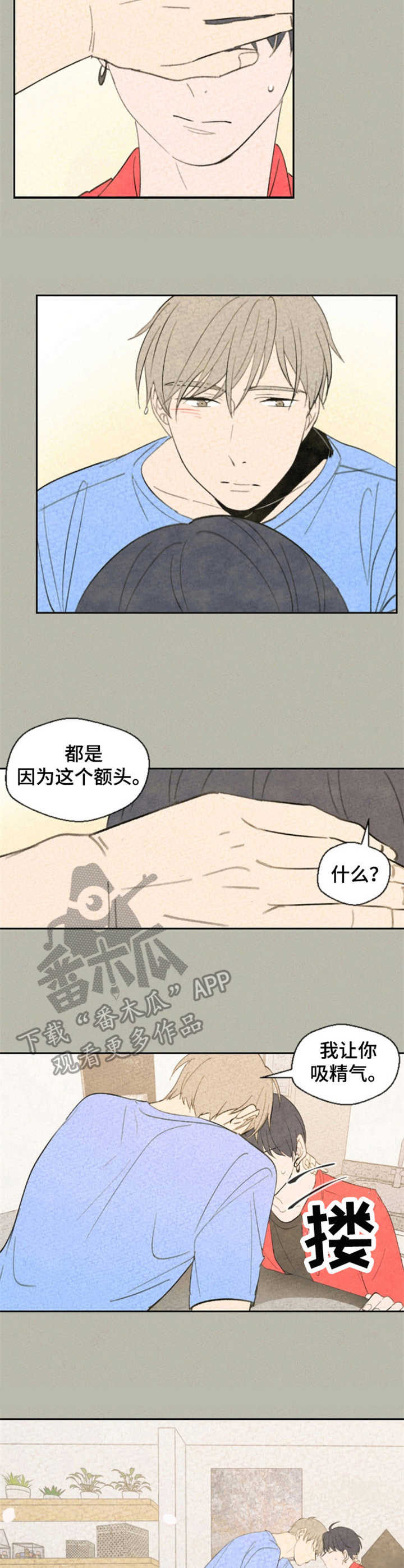 伴生灵植宁奇迹之树漫画,第28章：照片1图