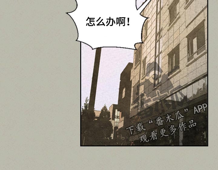 伴生灵物漫画,第41章：手链的事2图