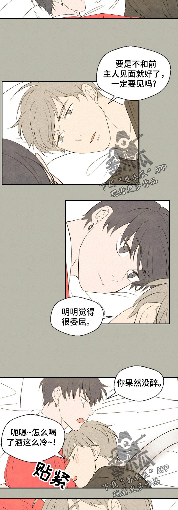 伴生兽是什么漫画,第39章：什么意思1图