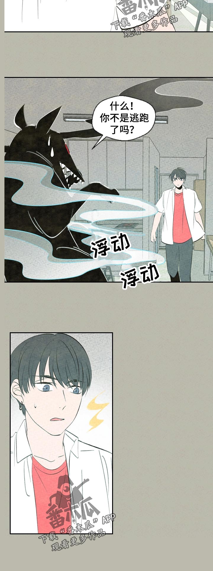 伴生灵物漫画,第58章：好久不见2图