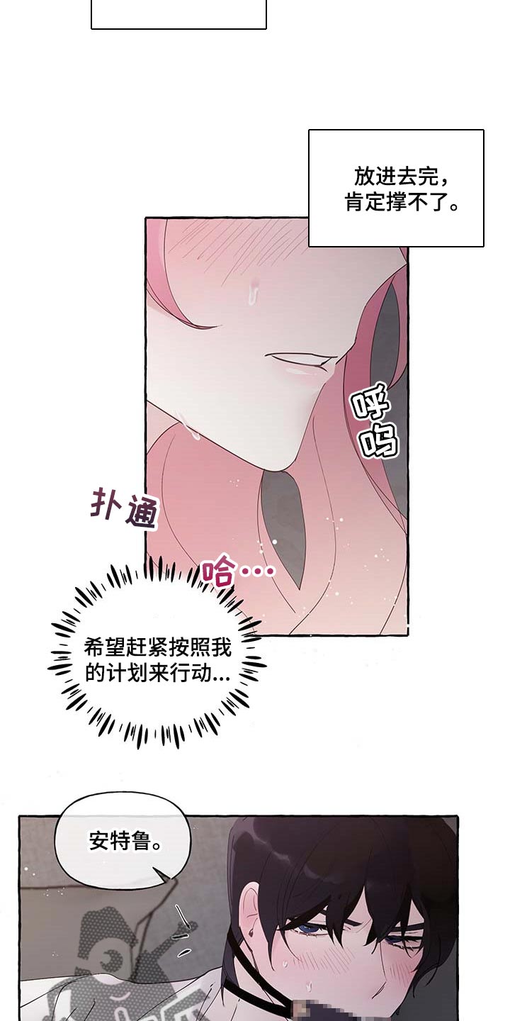 盛情的意思漫画,第74章：【第二季】好戏才刚刚开始2图