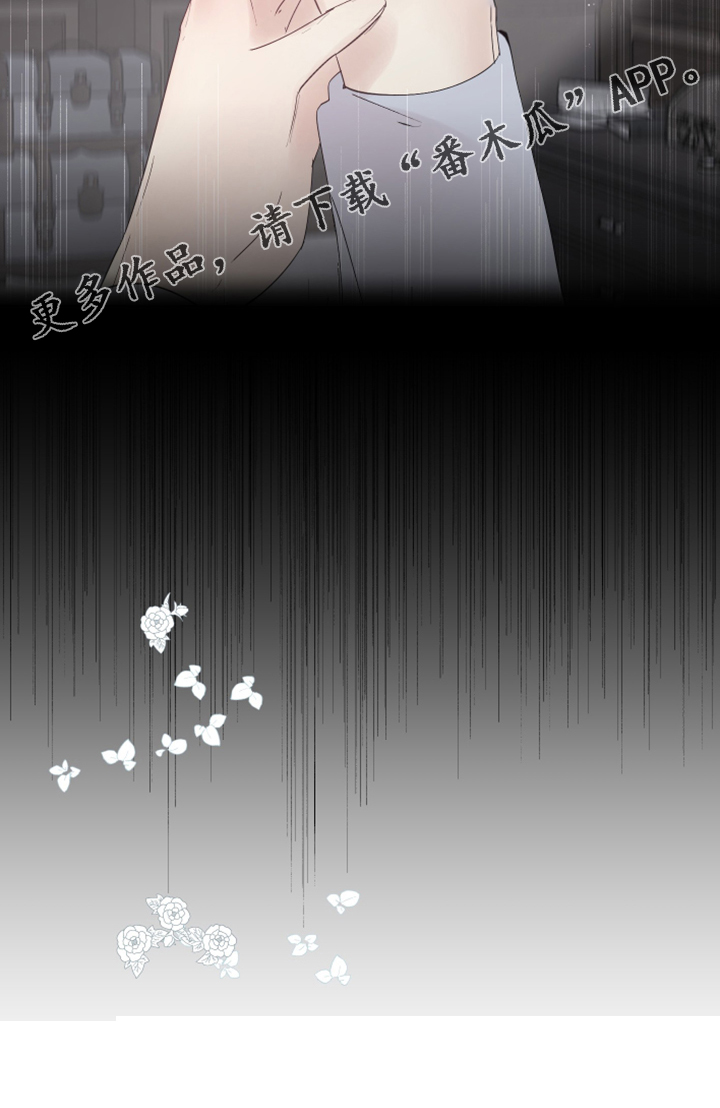 盛情邀约请柬的设计说课稿最新漫画,第96章：【番外】梦的开始2图