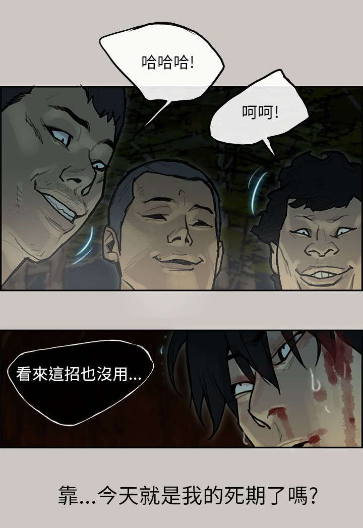 鏖战和麓战的拼音漫画,第13章：警察5图