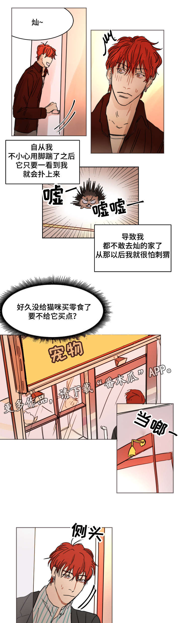单独尺码漫画,第7章：刺猬5图