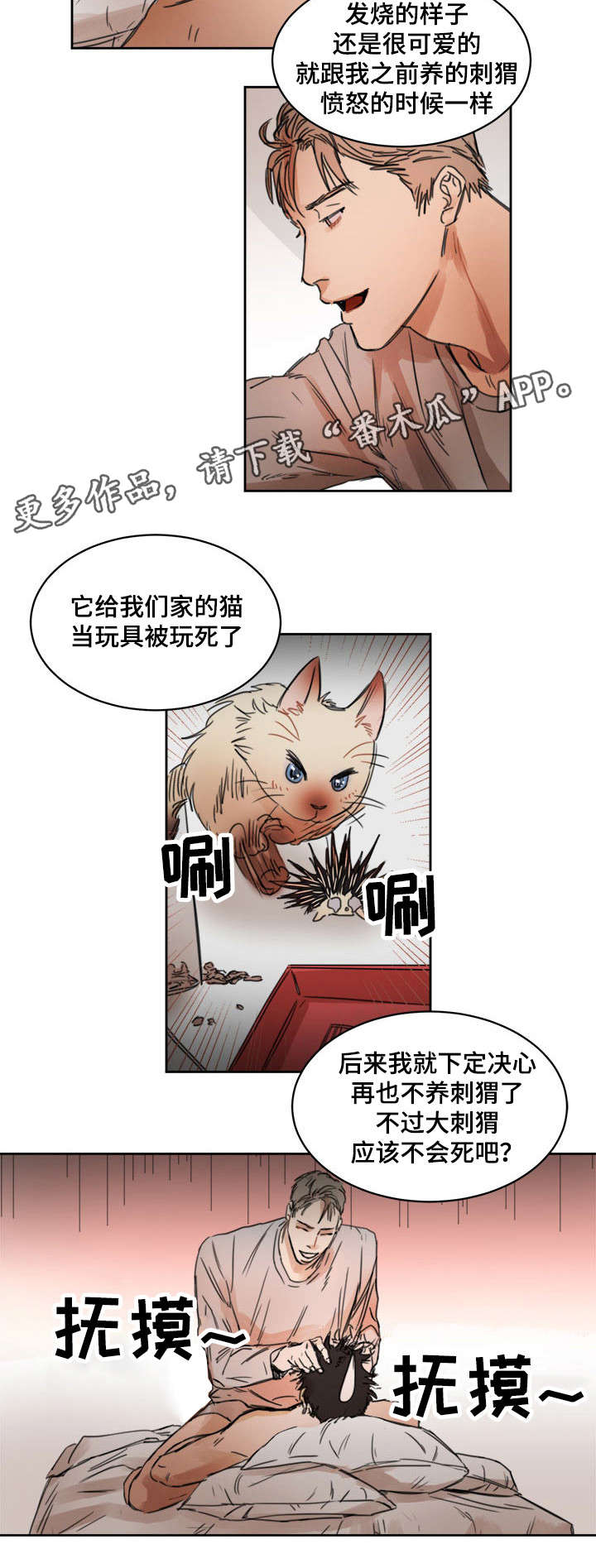 单独尺码漫画,第5章：吃豆腐4图