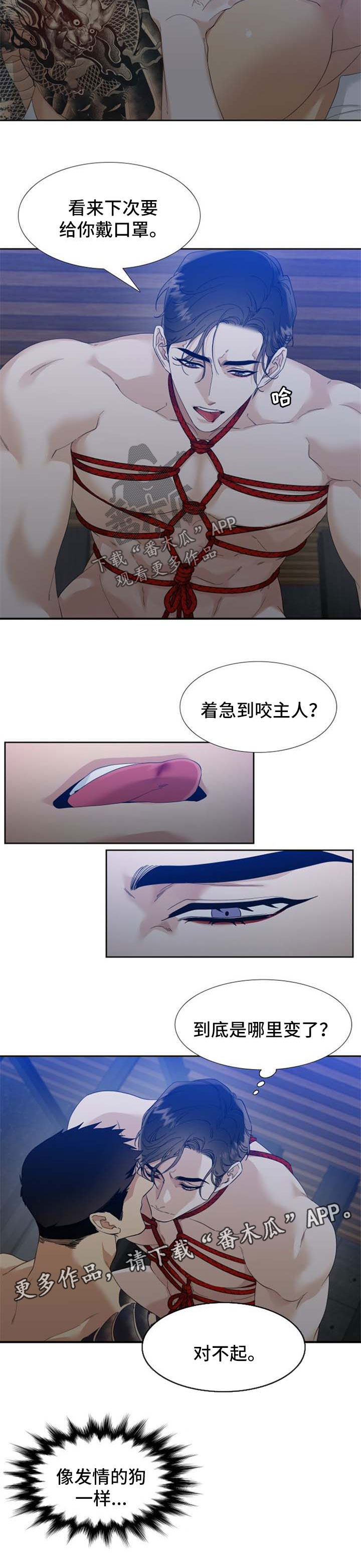 狂热漫画,第63章：不要干涉我4图