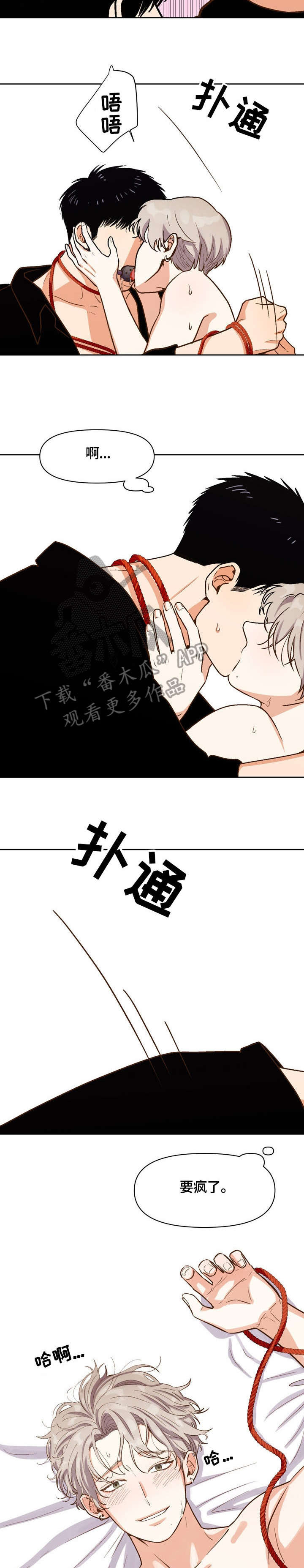 恋爱订单动漫漫画,第21章：疯了1图