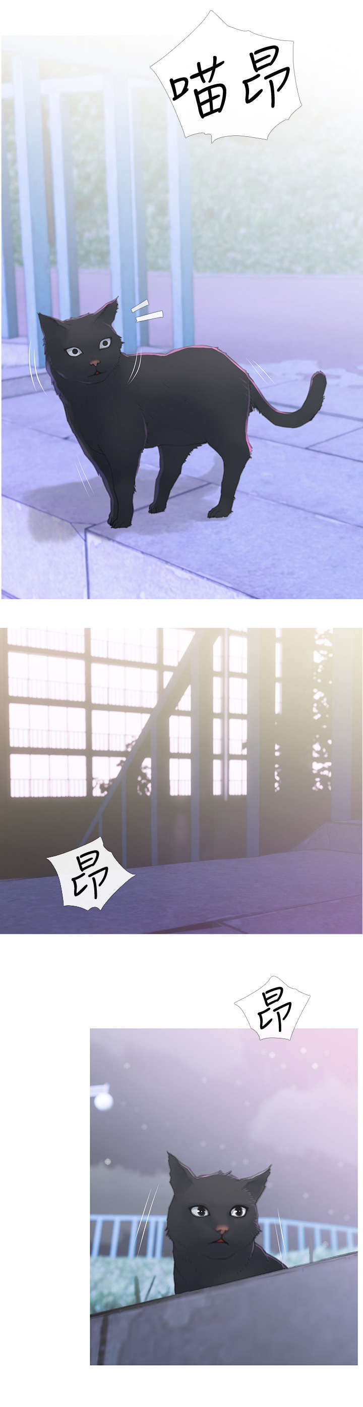 住户存款与居民存款区别漫画,第1章：猫咪2图