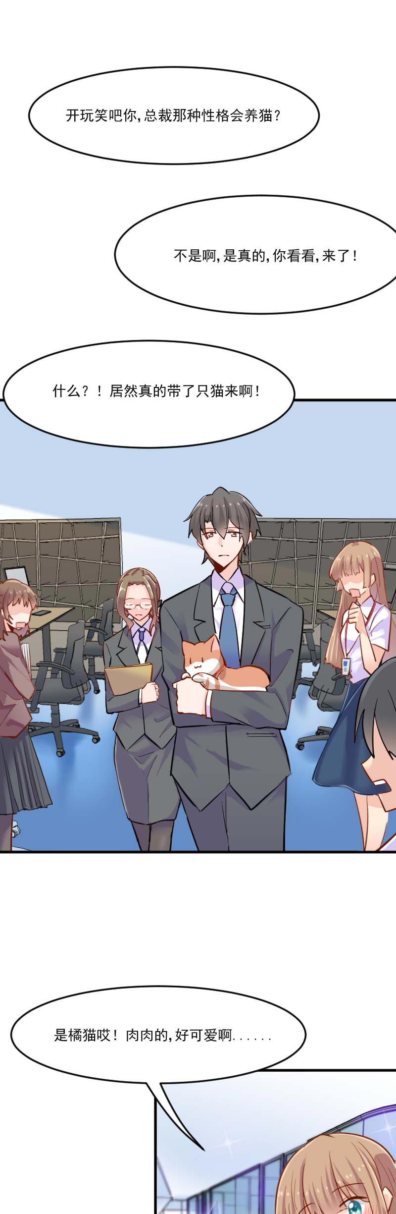 救命我的男票是妖怪第四季动漫免费观看漫画,第39章：不许摸我的猫！5图