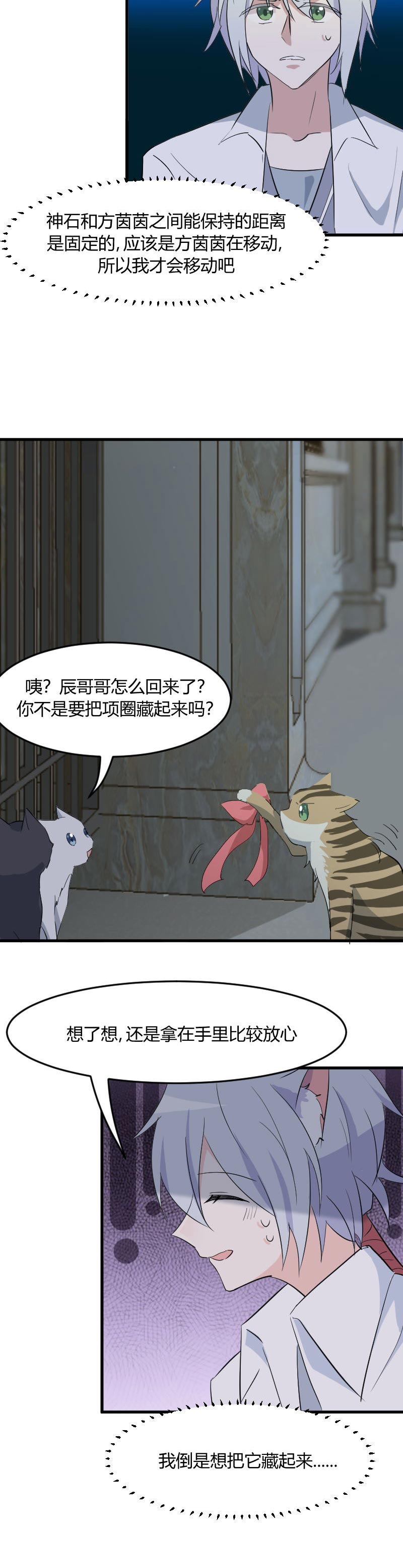 救命我的男票是妖怪第四季动漫免费观看漫画,第17章：猫很活泼很健康1图