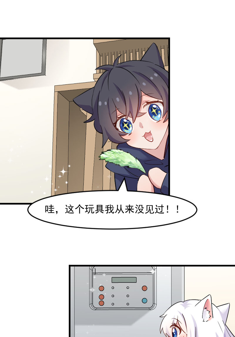 救命我的男票是妖怪第四季动漫免费观看漫画,第120章：超豪华的猫屋！1图