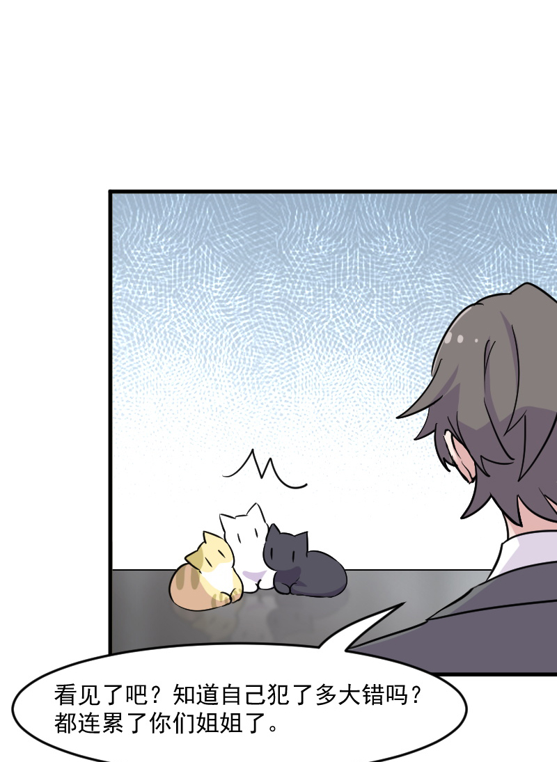 救命我的男票是妖怪第四季动漫免费观看漫画,第125章：总裁的爱猫之心2图