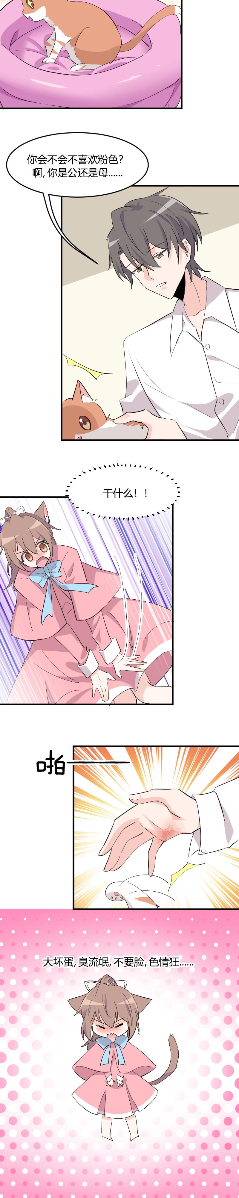 救命我的男票是妖怪第四季动漫免费观看漫画,第14章：臭流氓3图