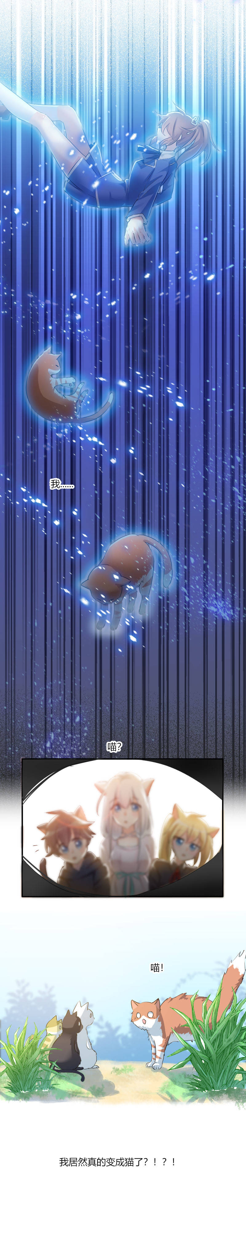 我的男票是妖怪动漫第二季在线观看漫画,第3章：悲惨的喵生3图