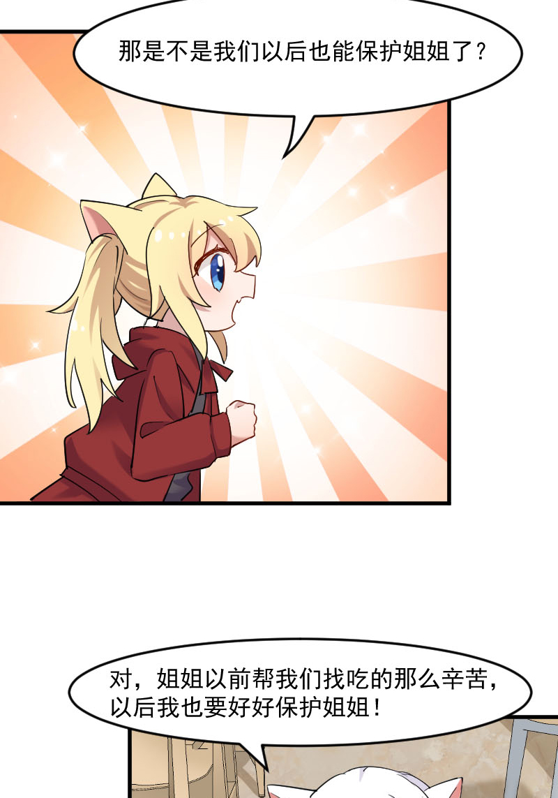 救命我的男票是妖怪第四季动漫免费观看漫画,第120章：超豪华的猫屋！3图