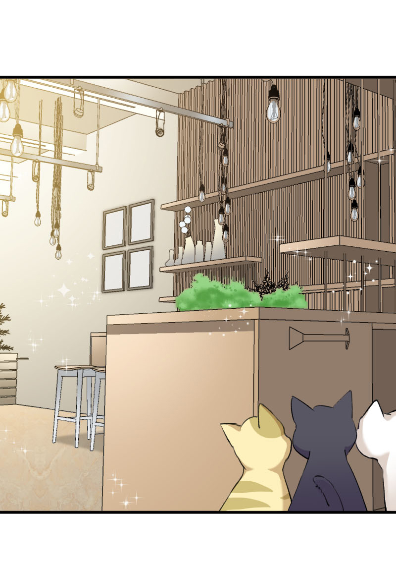 救命我的男票是妖怪第三季完整版漫画,第120章：超豪华的猫屋！5图