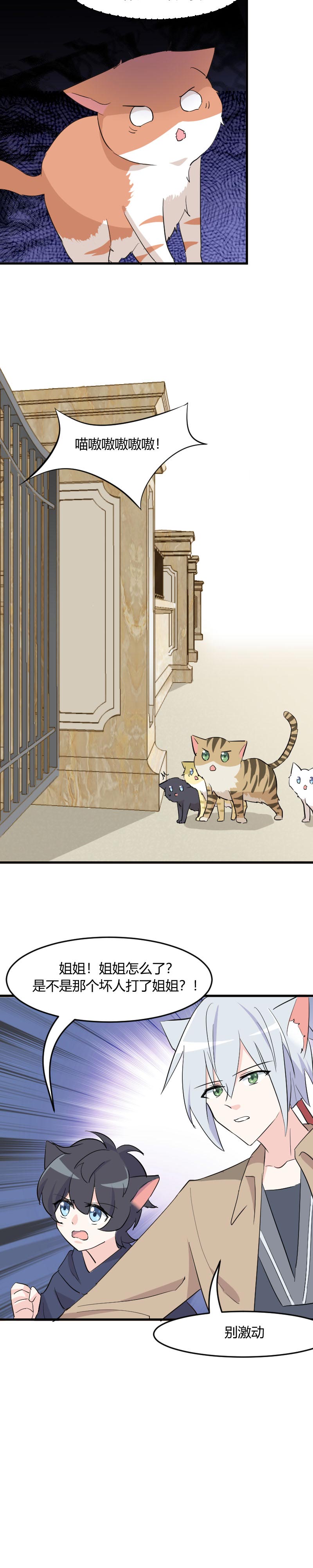 救命我的男票是妖怪第四季动漫免费观看漫画,第15章：姐姐的项圈5图